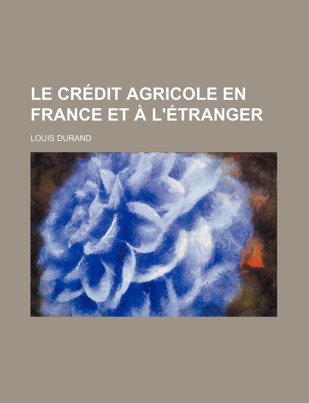 Le Credit Agricole En France Et A L'Etranger Books