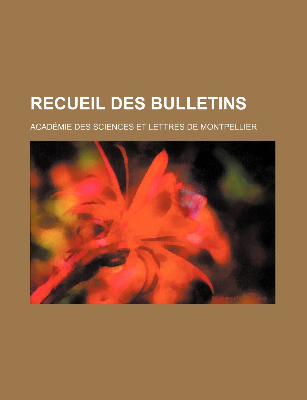 Recueil Des Bulletins (4) Books