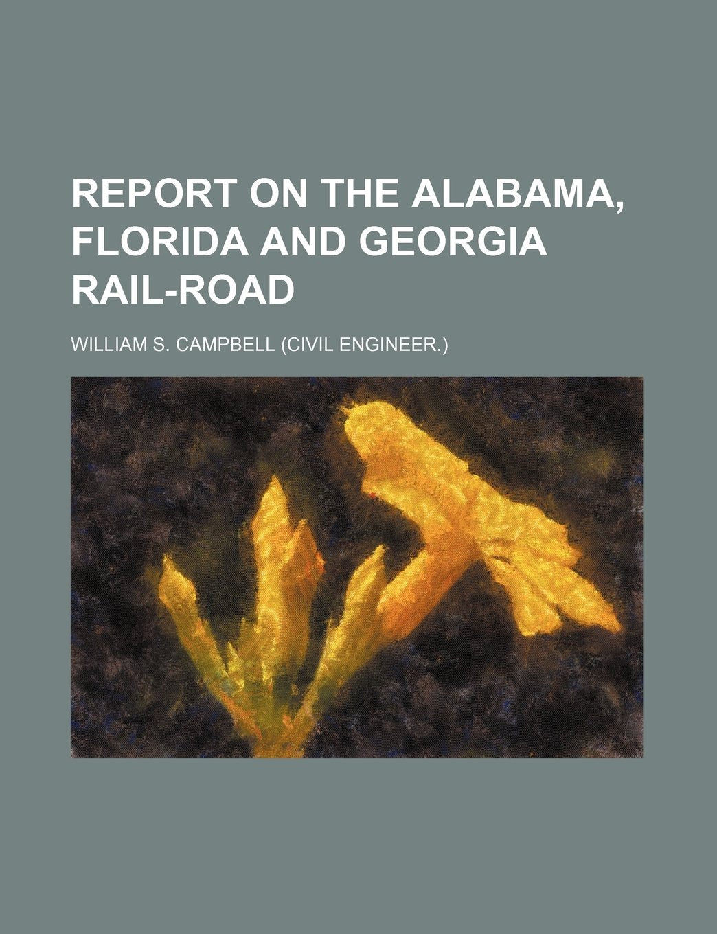 Report on the Alabama, Florida and Georgia Rail-Road Books