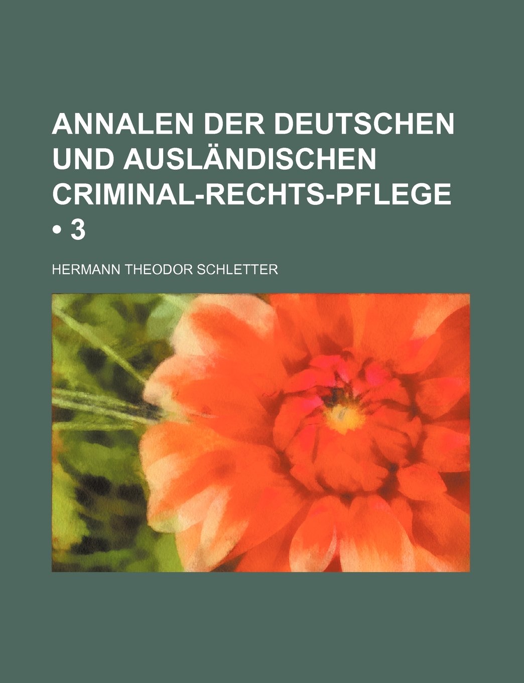 Annalen Der Deutschen Und Auslandischen Criminal-Rechts-Pflege (3) Politics & History