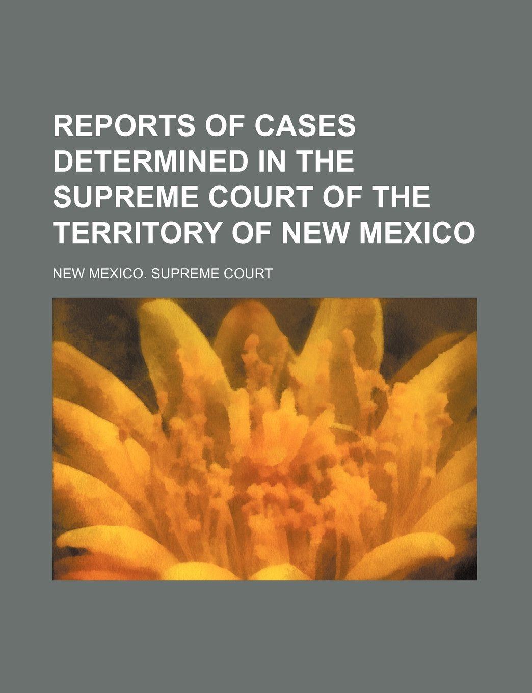 Reports of Cases Determined in the Supreme Court of the Territory of New Mexico (Volume 13) Books