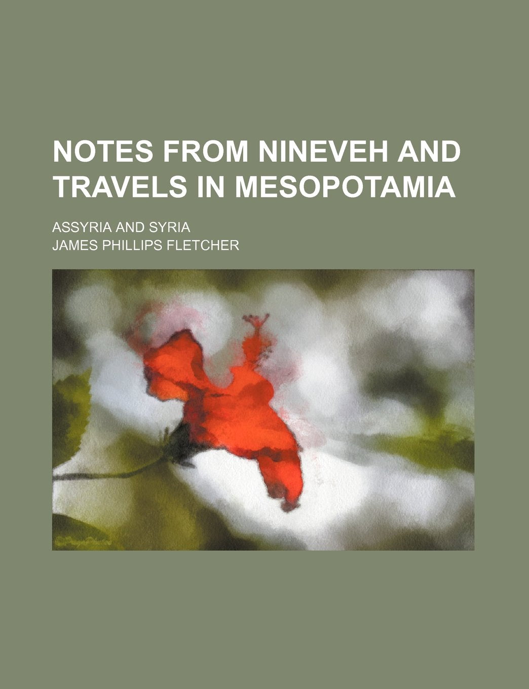 Notes from Nineveh and Travels in Mesopotamia; Assyria and Syria Politics & History