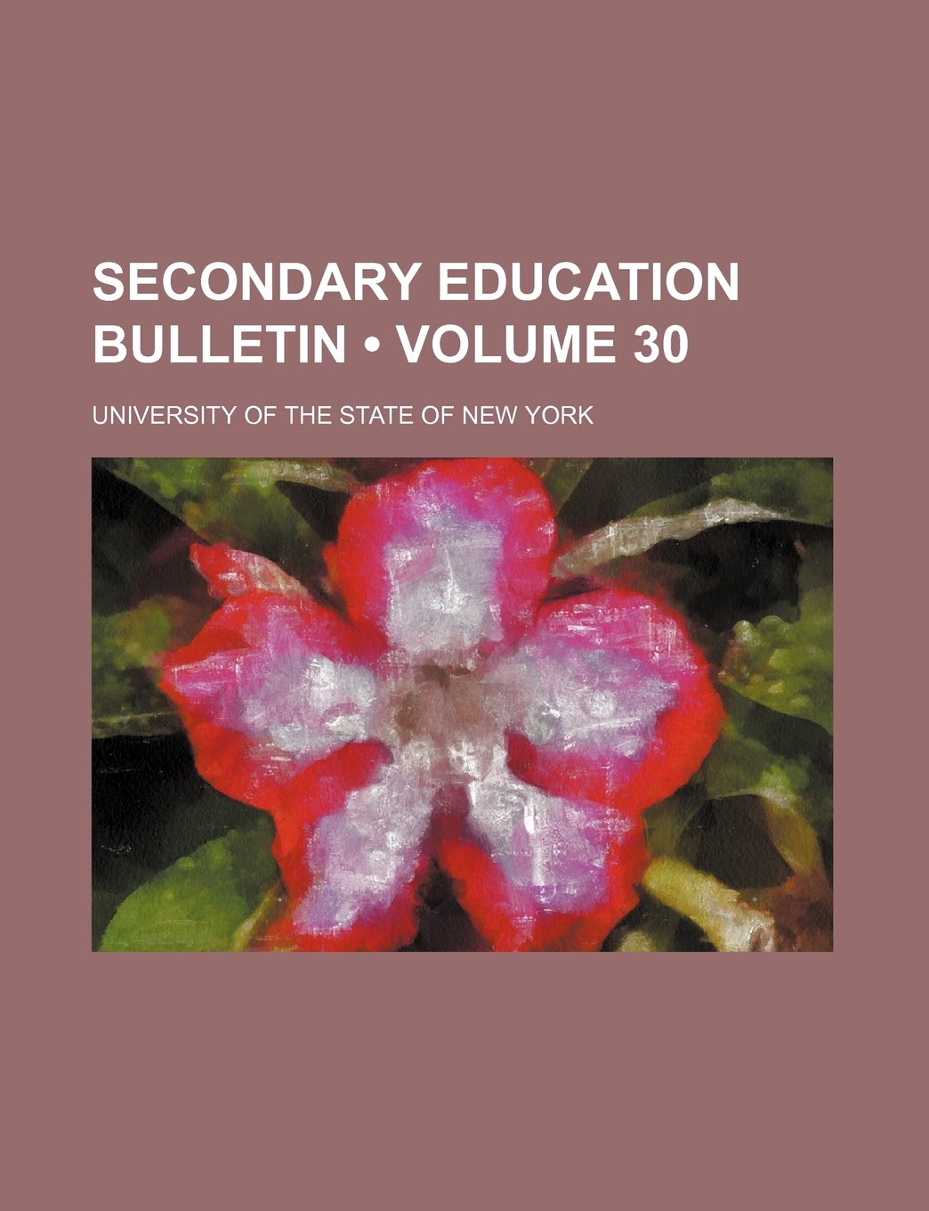 Secondary Education Bulletin (Volume 30) Books