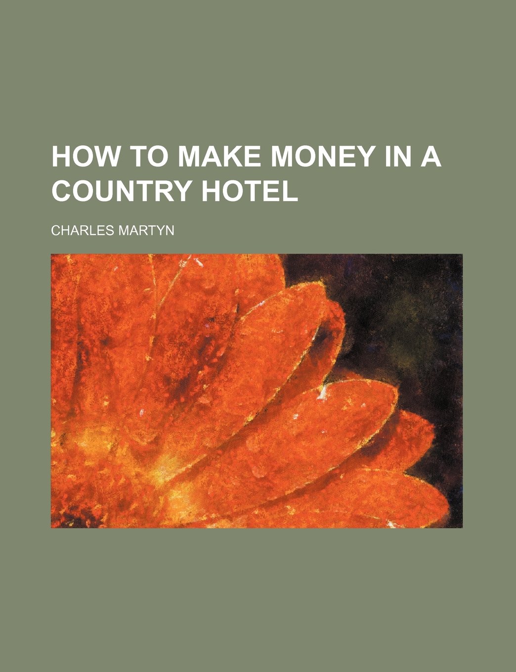 How to Make Money in a Country Hotel Books