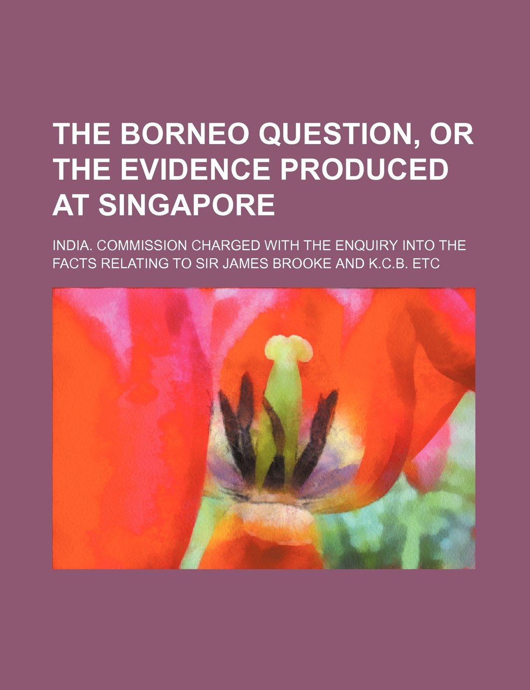 The Borneo Question, or the Evidence Produced at Singapore Books