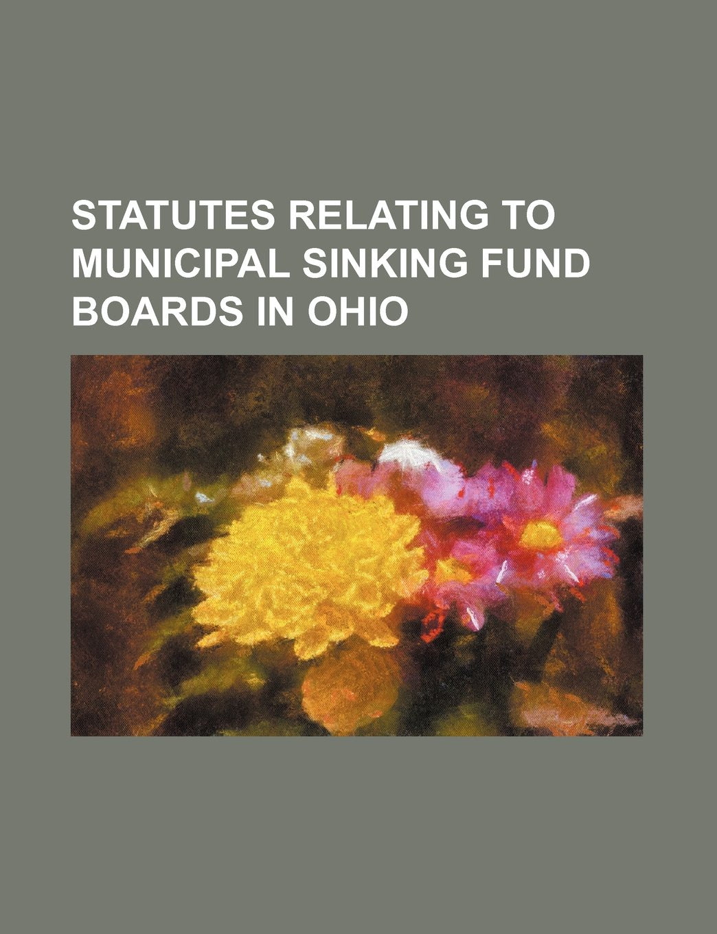 Statutes Relating to Municipal Sinking Fund Boards in Ohio Books