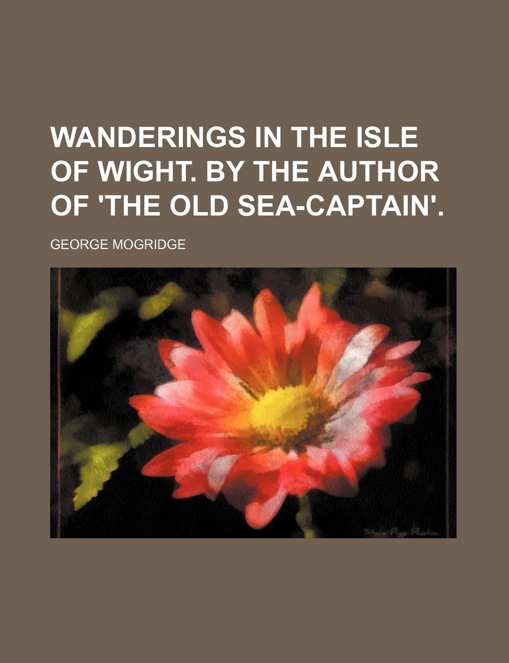 Wanderings in the Isle of Wight. by the Author of 'The Old Sea-Captain'. Books