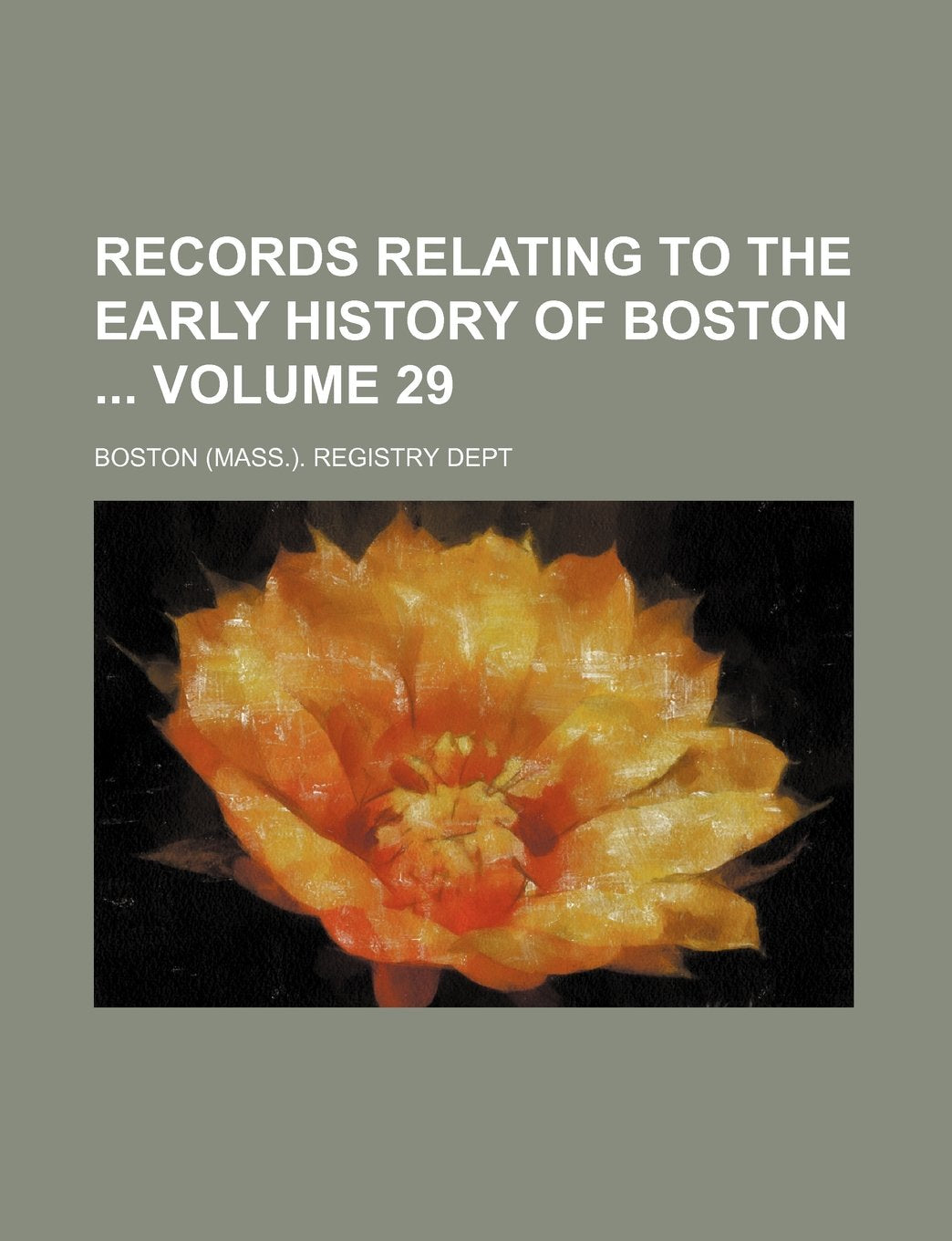 Records Relating to the Early History of Boston Volume 29 Books