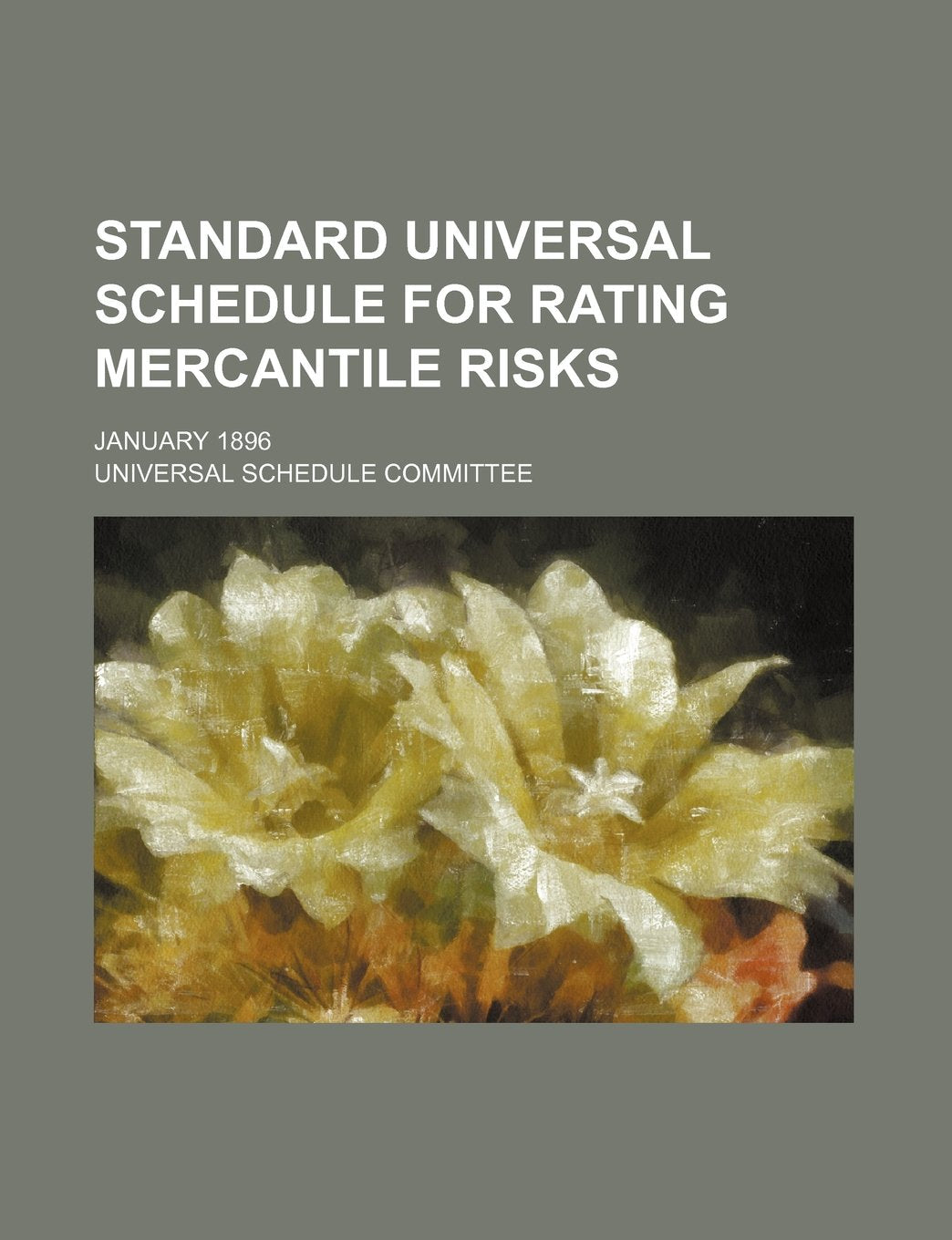 Standard Universal Schedule for Rating Mercantile Risks; January 1896 Books