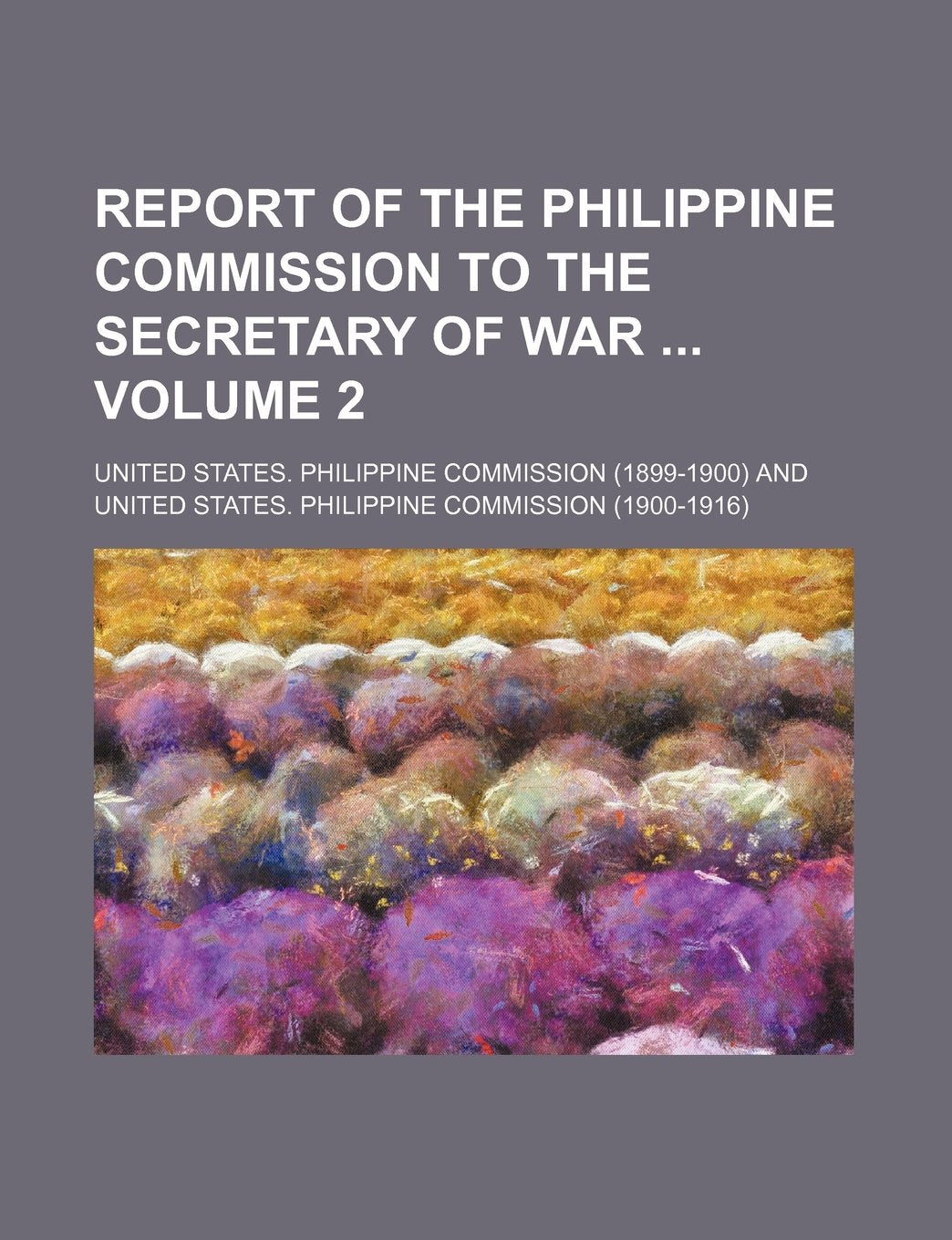 Report of the Philippine Commission to the Secretary of War Volume 2 Books
