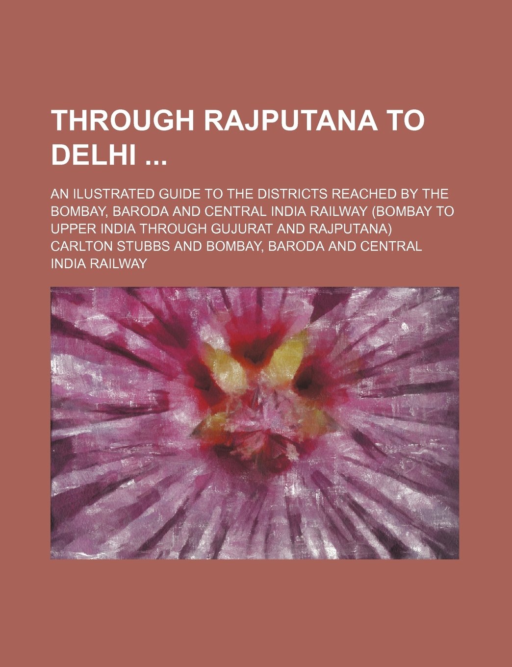 Through Rajputana to Delhi; An Ilustrated Guide to the Districts Reached by the Bombay, Baroda and Central India Railway (Bombay to Upper India Through Gujurat and Rajputana) Books