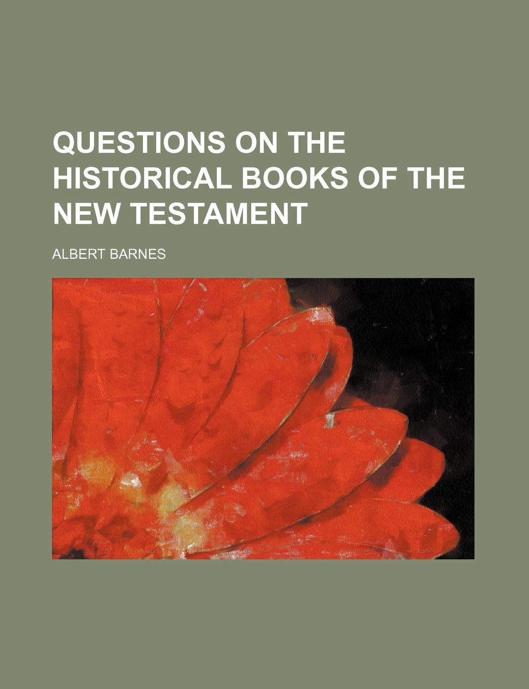 Questions on the Historical Books of the New Testament Books