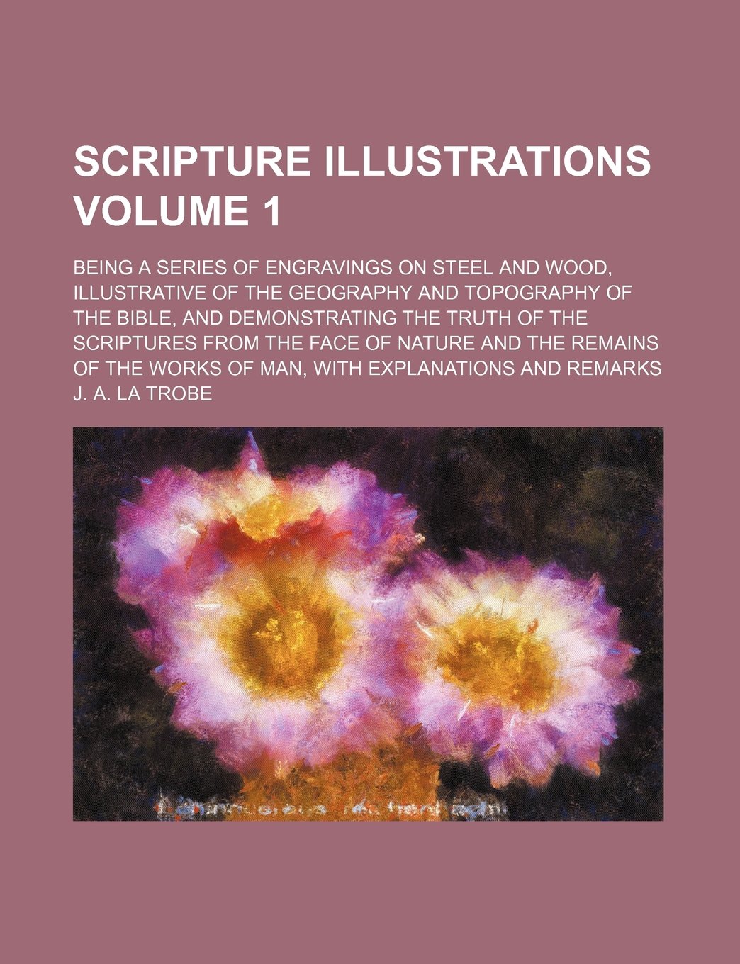 Scripture Illustrations Volume 1; Being a Series of Engravings on Steel and Wood, Illustrative of the Geography and Topography of the Bible, and ... and the Remains of the Works of Man, with Ex Books