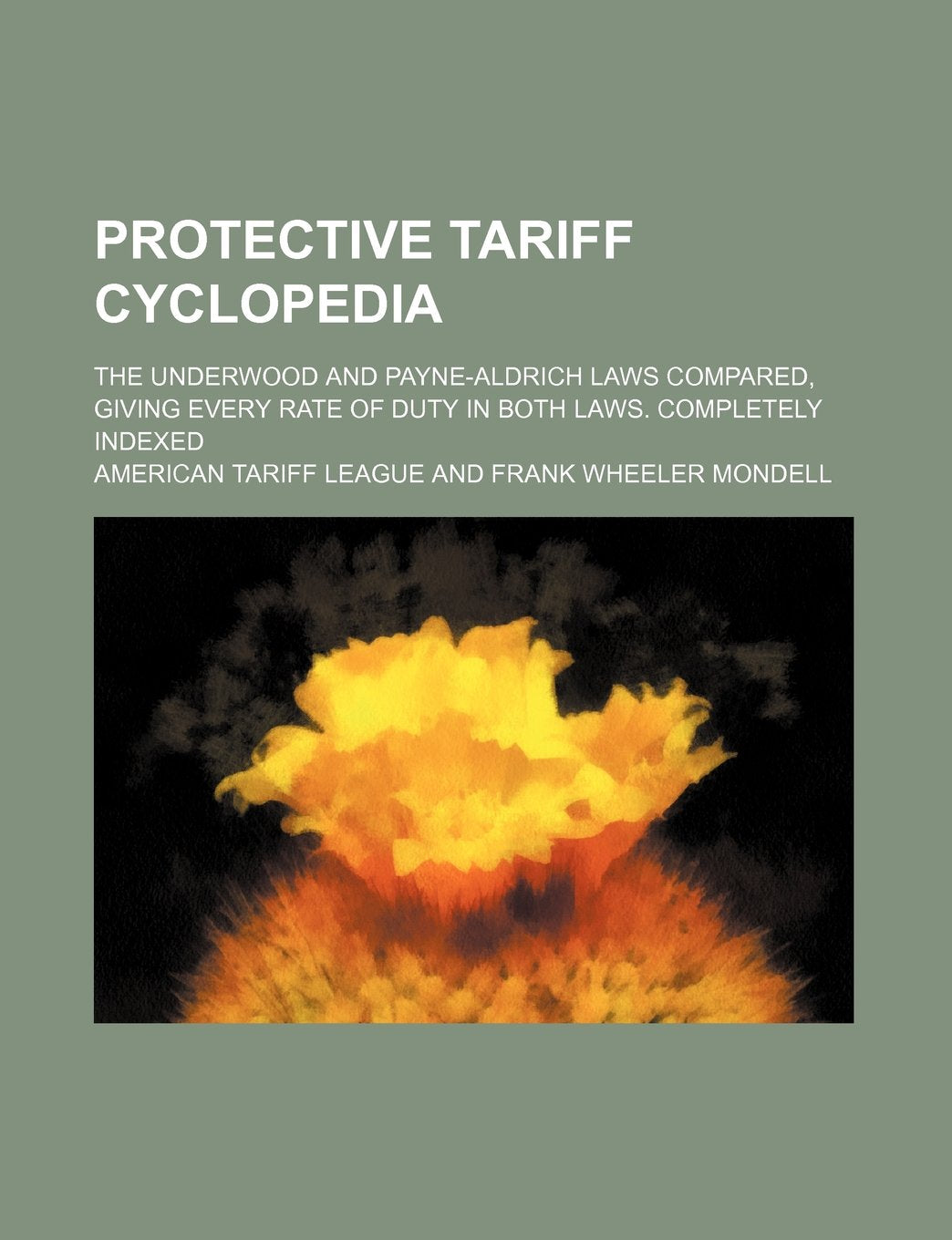 Protective Tariff Cyclopedia; The Underwood and Payne-Aldrich Laws Compared, Giving Every Rate of Duty in Both Laws. Completely Indexed Books
