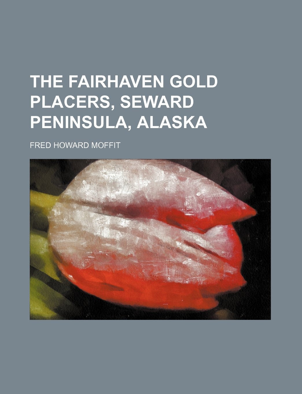 The Fairhaven Gold Placers, Seward Peninsula, Alaska Books