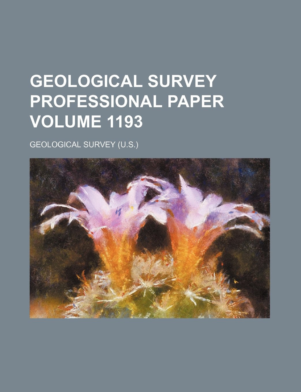 Geological Survey Professional Paper Volume 1193 Books