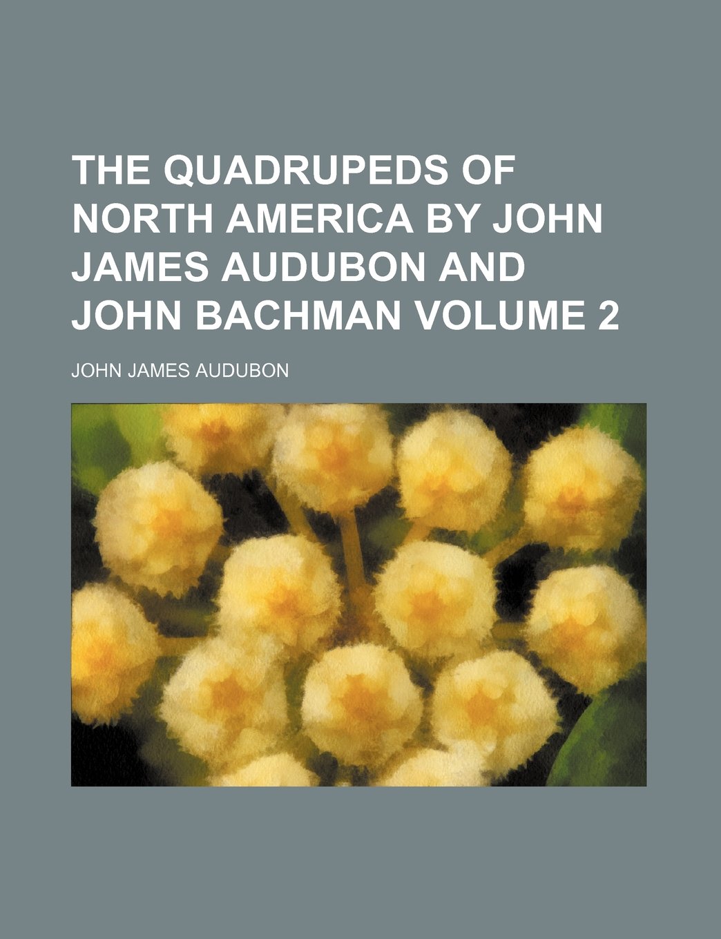 The Quadrupeds of North America by John James Audubon and John Bachman Volume 2 Books