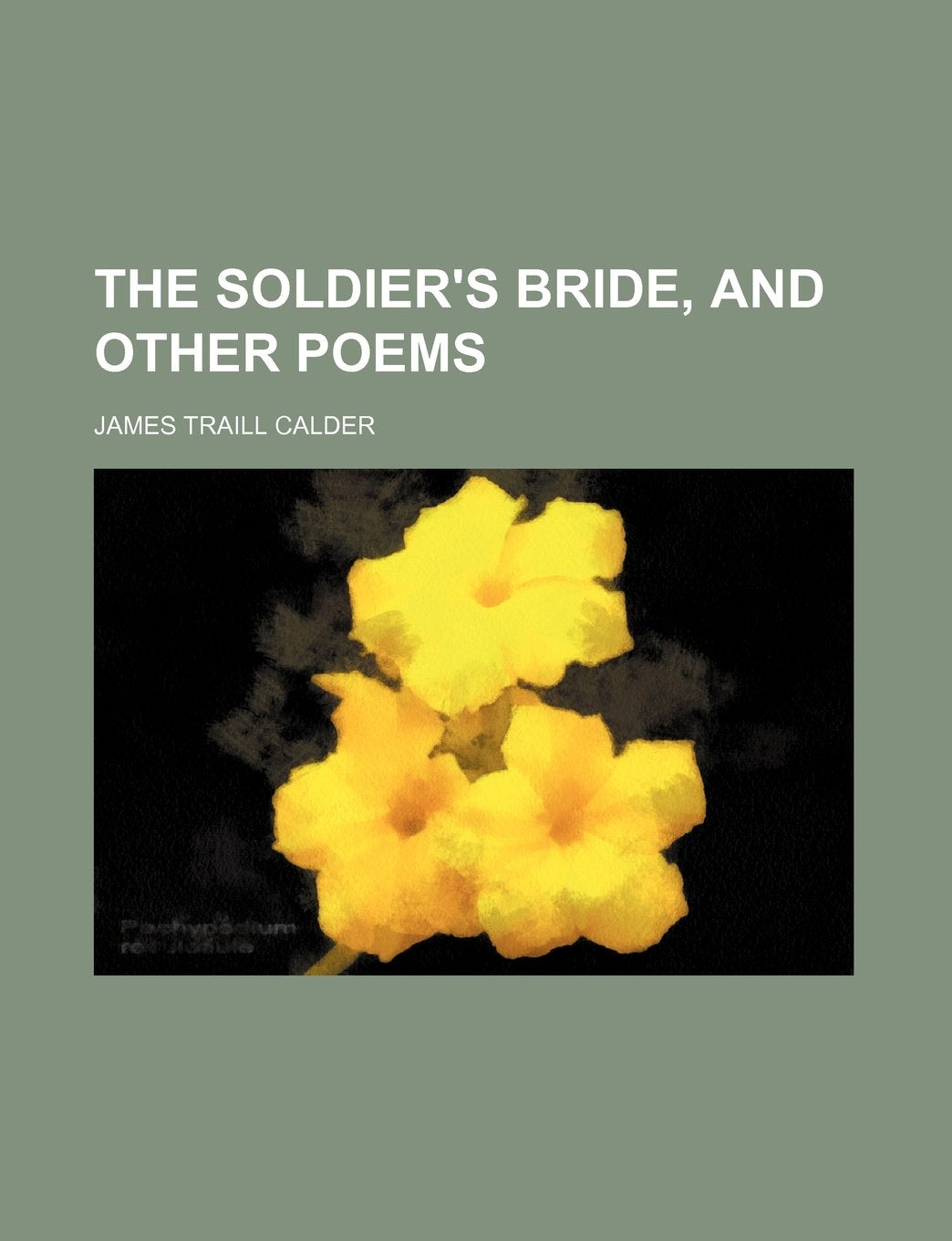 The Soldier's Bride, and Other Poems Books