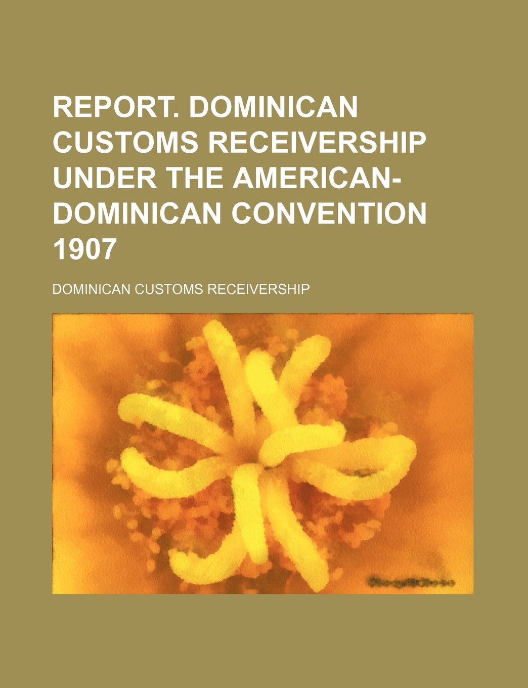 Report. Dominican Customs Receivership Under the American-Dominican Convention 1907 Books