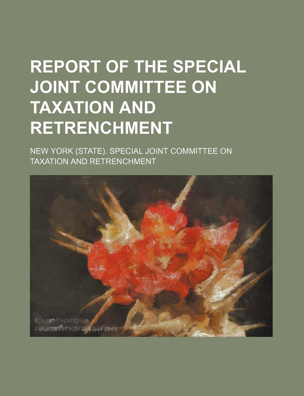 Report of the Special Joint Committee on Taxation and Retrenchment Books