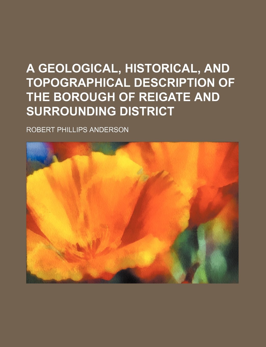 A Geological, Historical, and Topographical Description of the Borough of Reigate and Surrounding District Politics & History