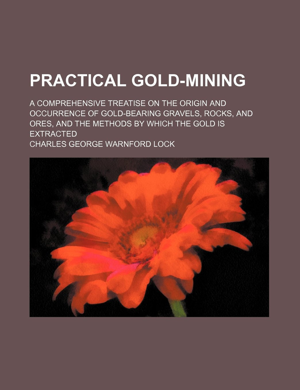 Practical Gold-Mining; A Comprehensive Treatise on the Origin and Occurrence of Gold-Bearing Gravels, Rocks, and Ores, and the Methods by Which the Gold Is Extracted Books