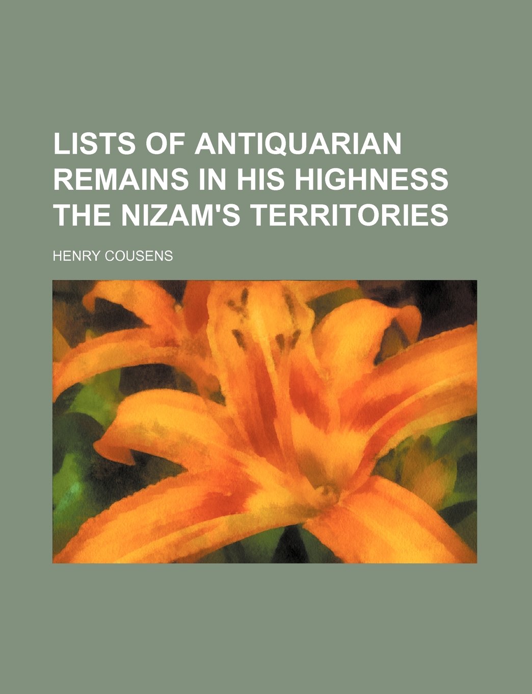 Lists of Antiquarian Remains in His Highness the Nizam's Territories Books