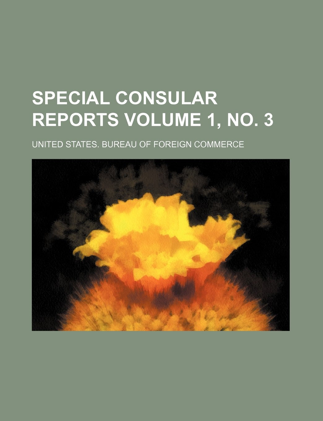 Special Consular Reports Volume 1, No. 3 Books