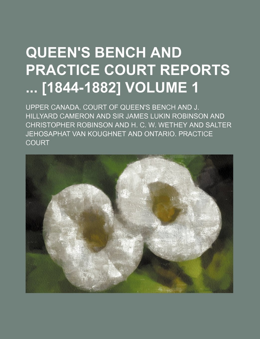 Queen's Bench and Practice Court Reports Volume 1 Books