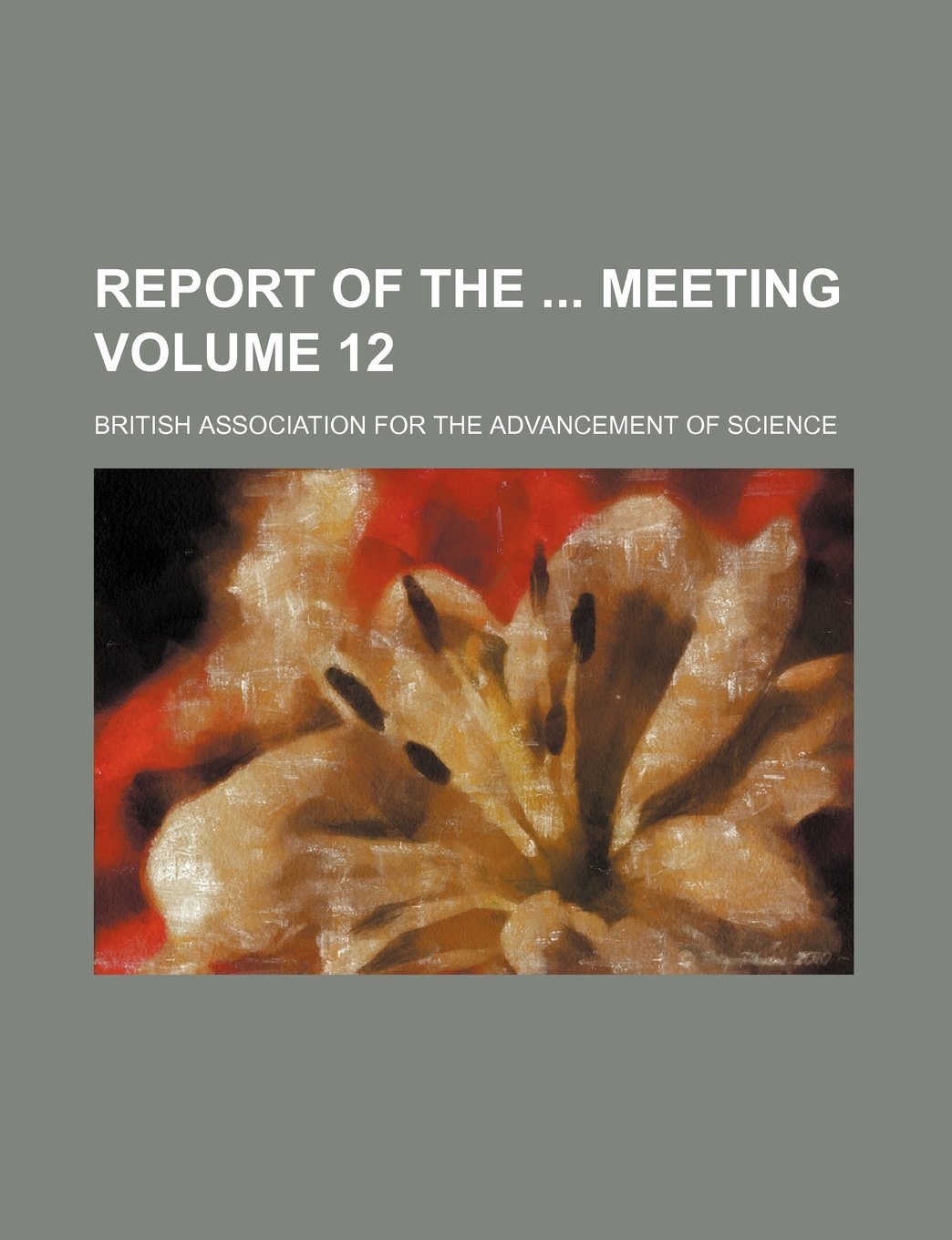 Report of the Meeting Volume 12 Books
