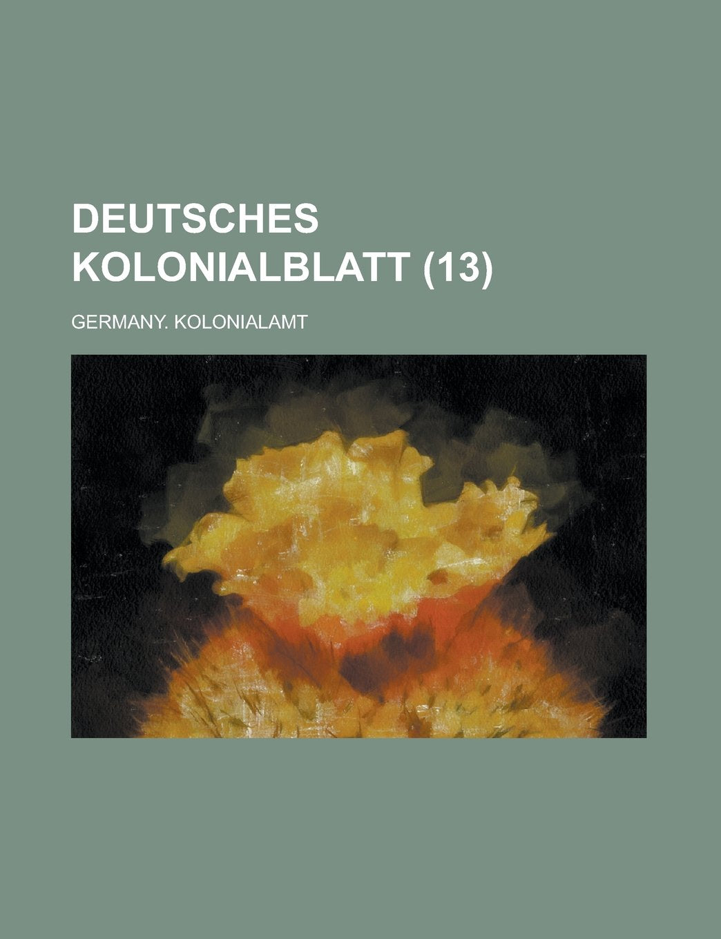 Deutsches Kolonialblatt (13) Books