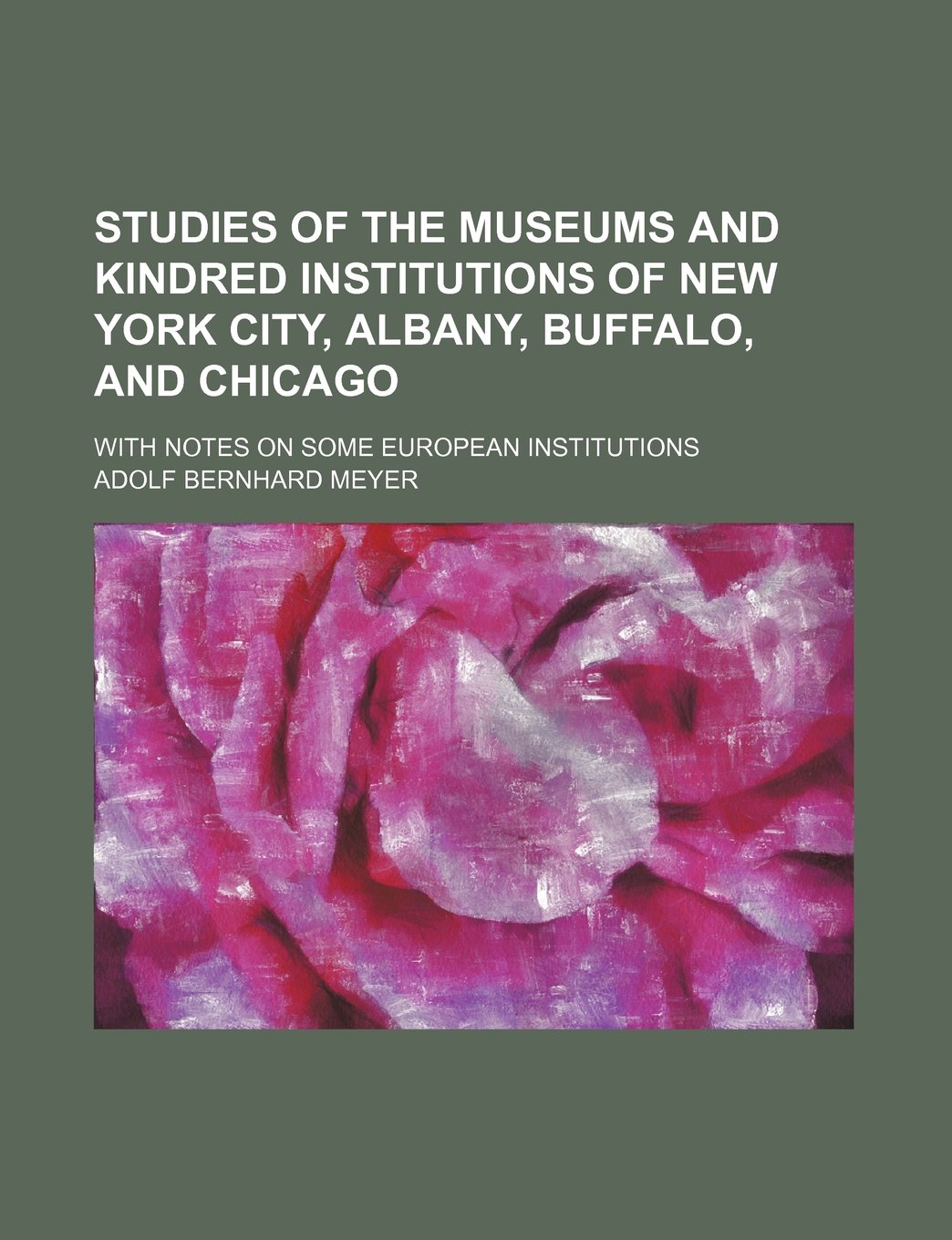 Studies of the museums and kindred institutions of New York City, Albany, Buffalo, and Chicago; with notes on some European institutions Film, Art & Culture