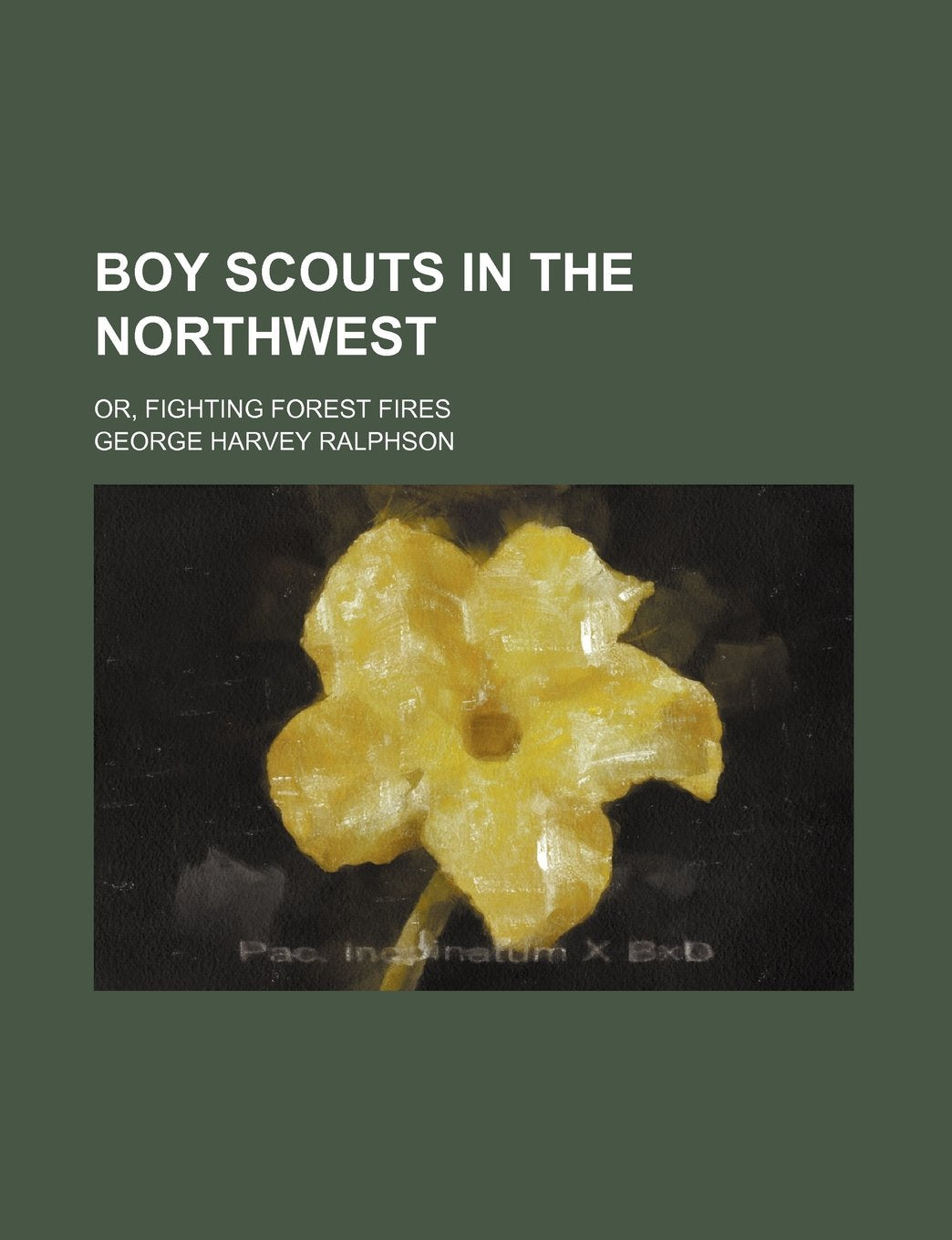 Boy Scouts in the Northwest; Or, Fighting Forest Fires Books