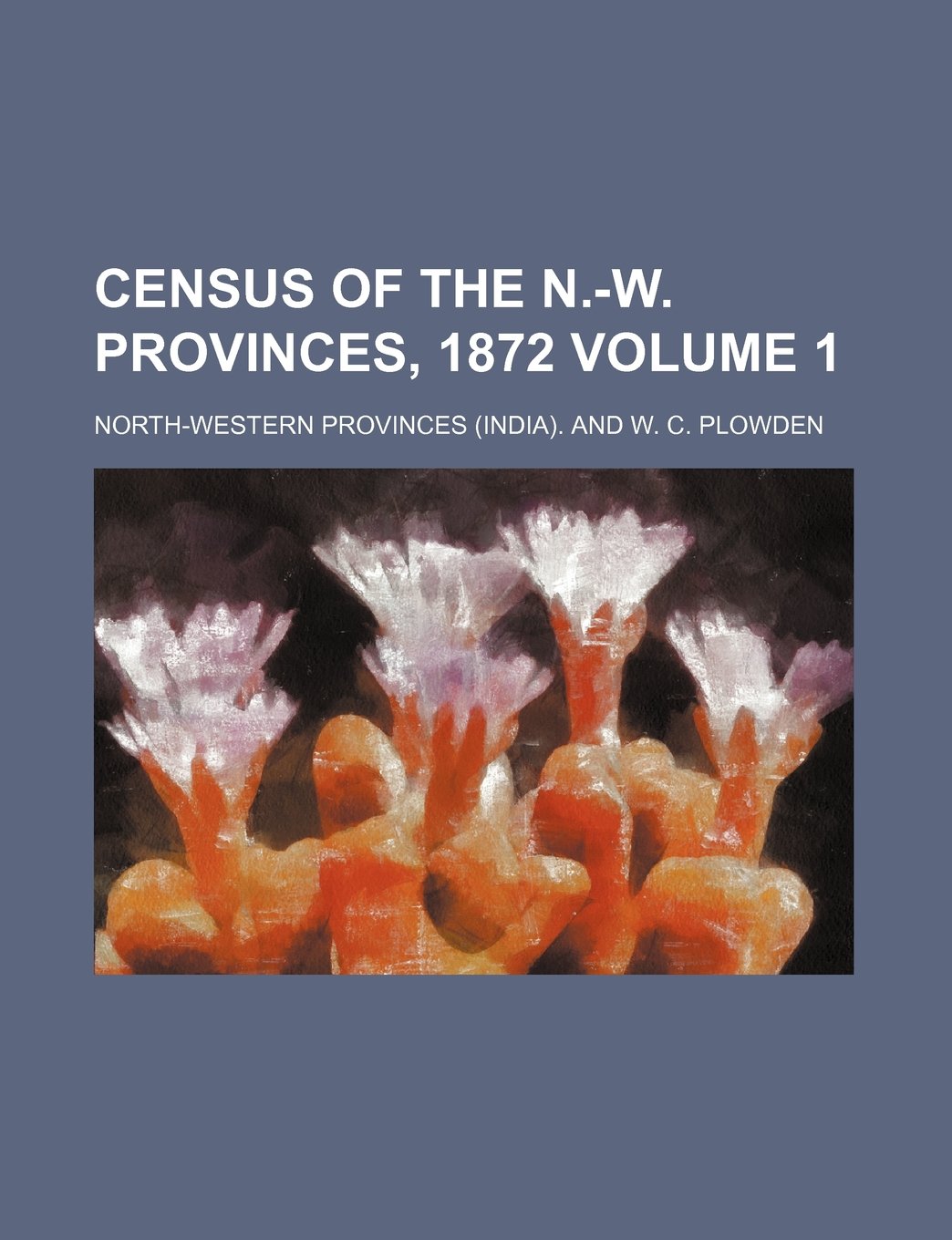 Census of the N.-W. Provinces, 1872 Volume 1 Books