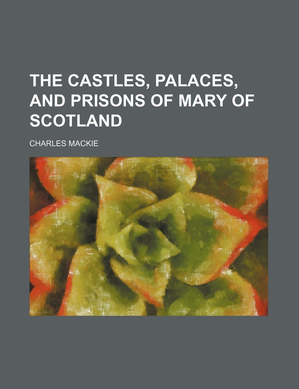 The castles, palaces, and prisons of Mary of Scotland Contemporary literature