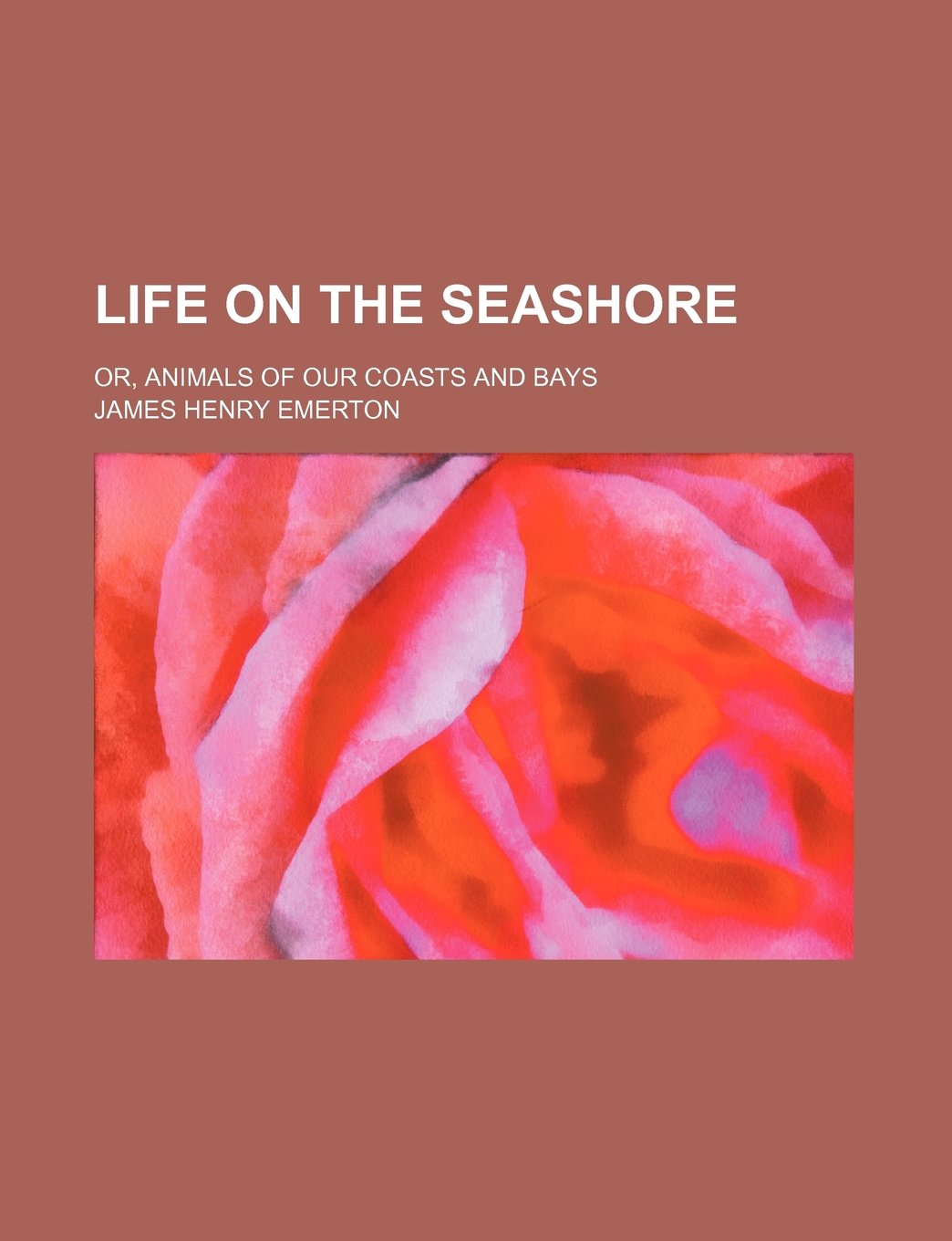 Life on the Seashore; Or, Animals of Our Coasts and Bays Books