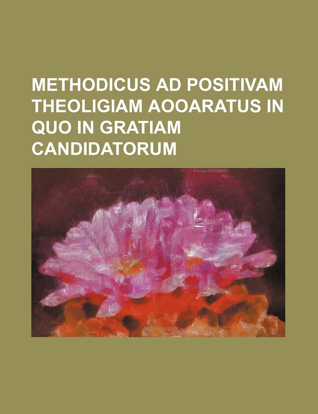 Methodicus Ad Positivam Theoligiam Aooaratus in Quo in Gratiam Candidatorum Books