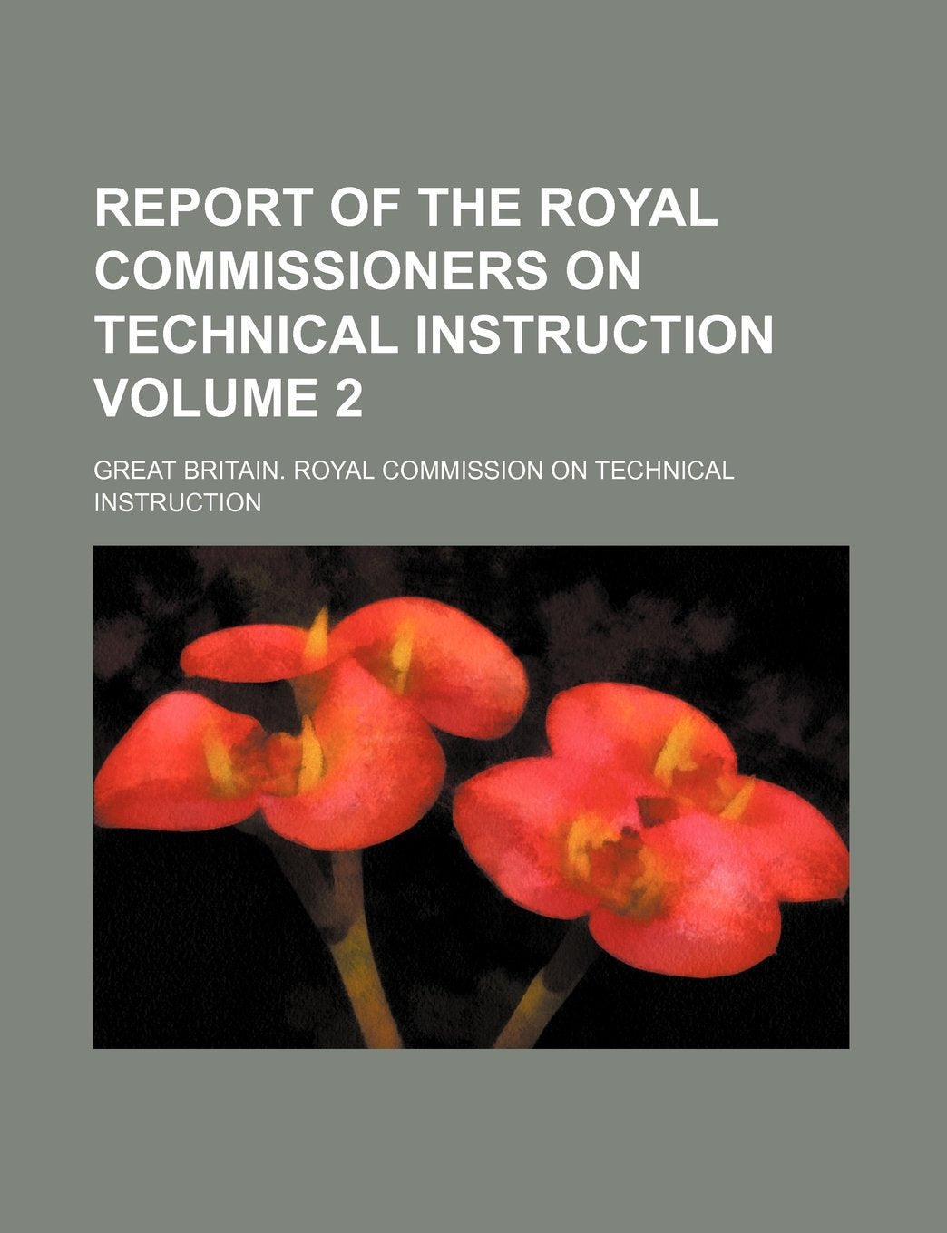 Report of the Royal Commissioners on Technical Instruction Volume 2 book