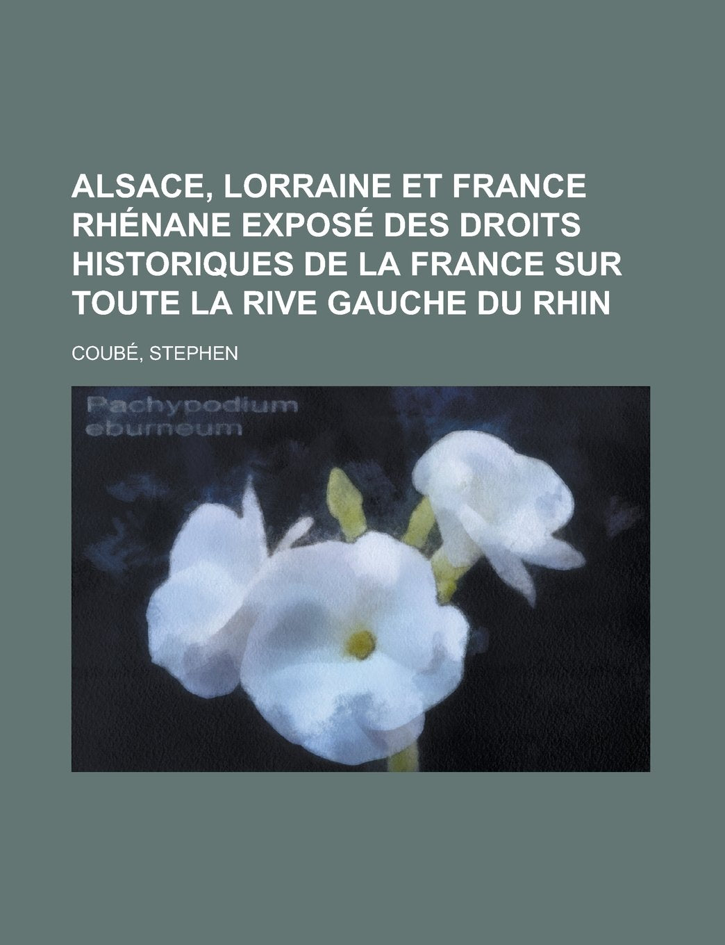 Alsace, Lorraine et France rhénane Exposé des droits historiques de la France sur toute la rive gauche du Rhin (French Edition) Contemporary literature Books
