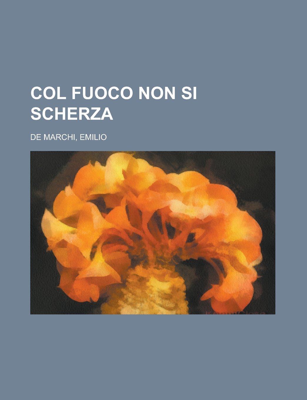Col fuoco non si scherza (Italian Edition) Contemporary literature
