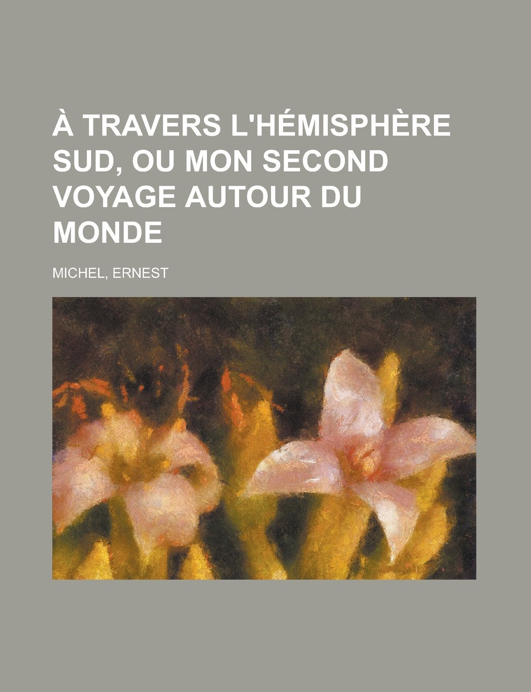 À travers l'hémisphère sud, ou Mon second voyage autour du monde (French Edition) Social Sciences