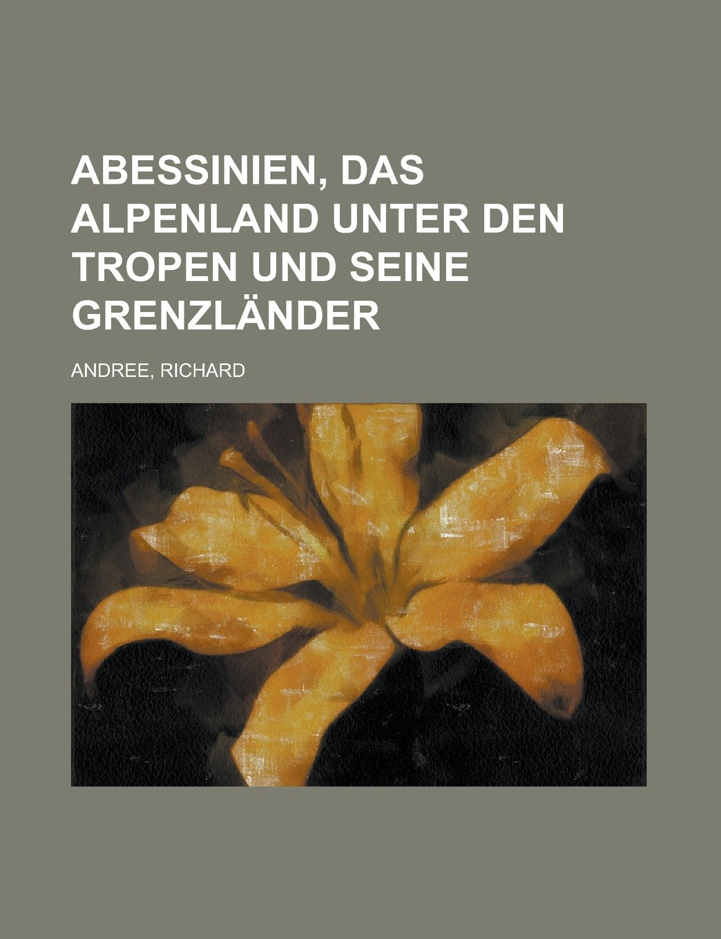 Abessinien, Das Alpenland Unter Den Tropen Und Seine Grenzlander Books