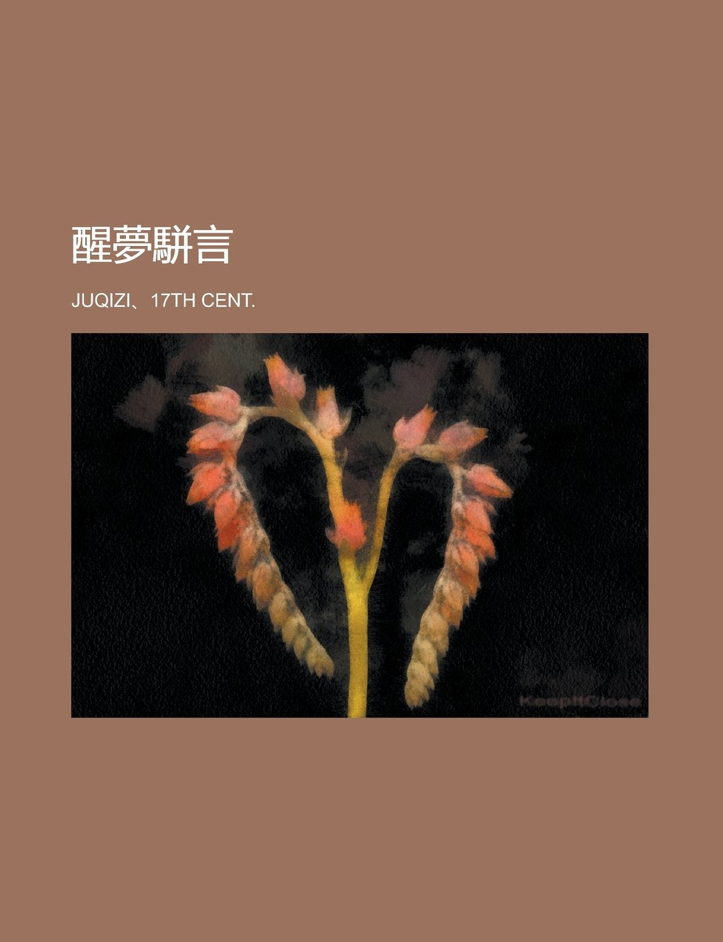 醒夢駢言 (Chinese Edition) Books