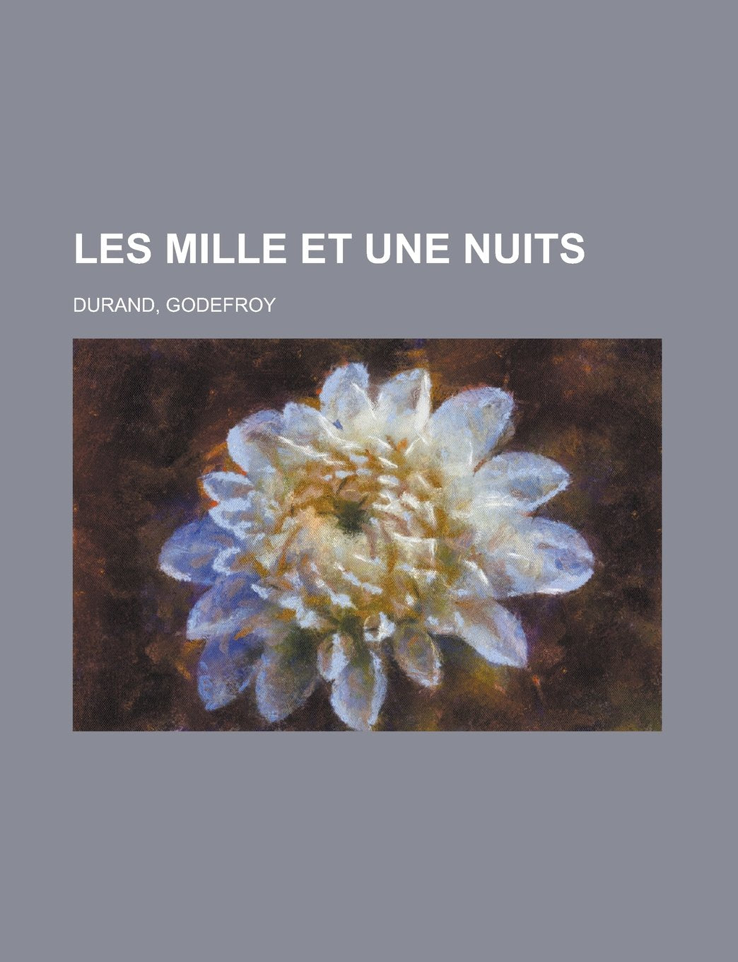 Les mille et une nuits (French Edition) Books