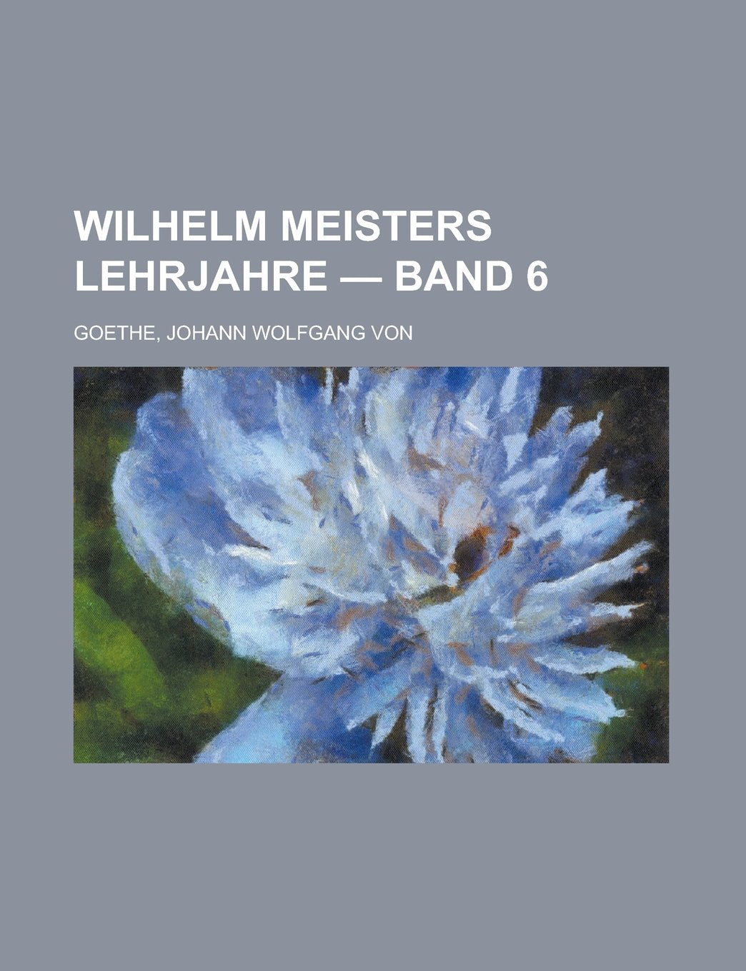 Wilhelm Meisters Lehrjahre - Band 6 Books