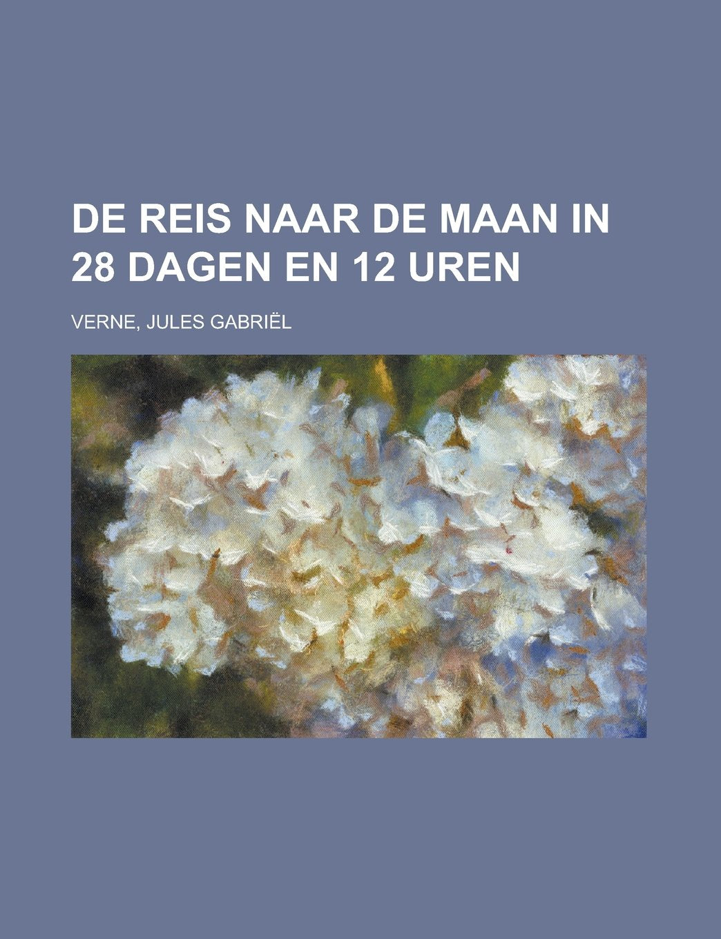 De Reis naar de Maan in 28 dagen en 12 uren (Dutch Edition) Books
