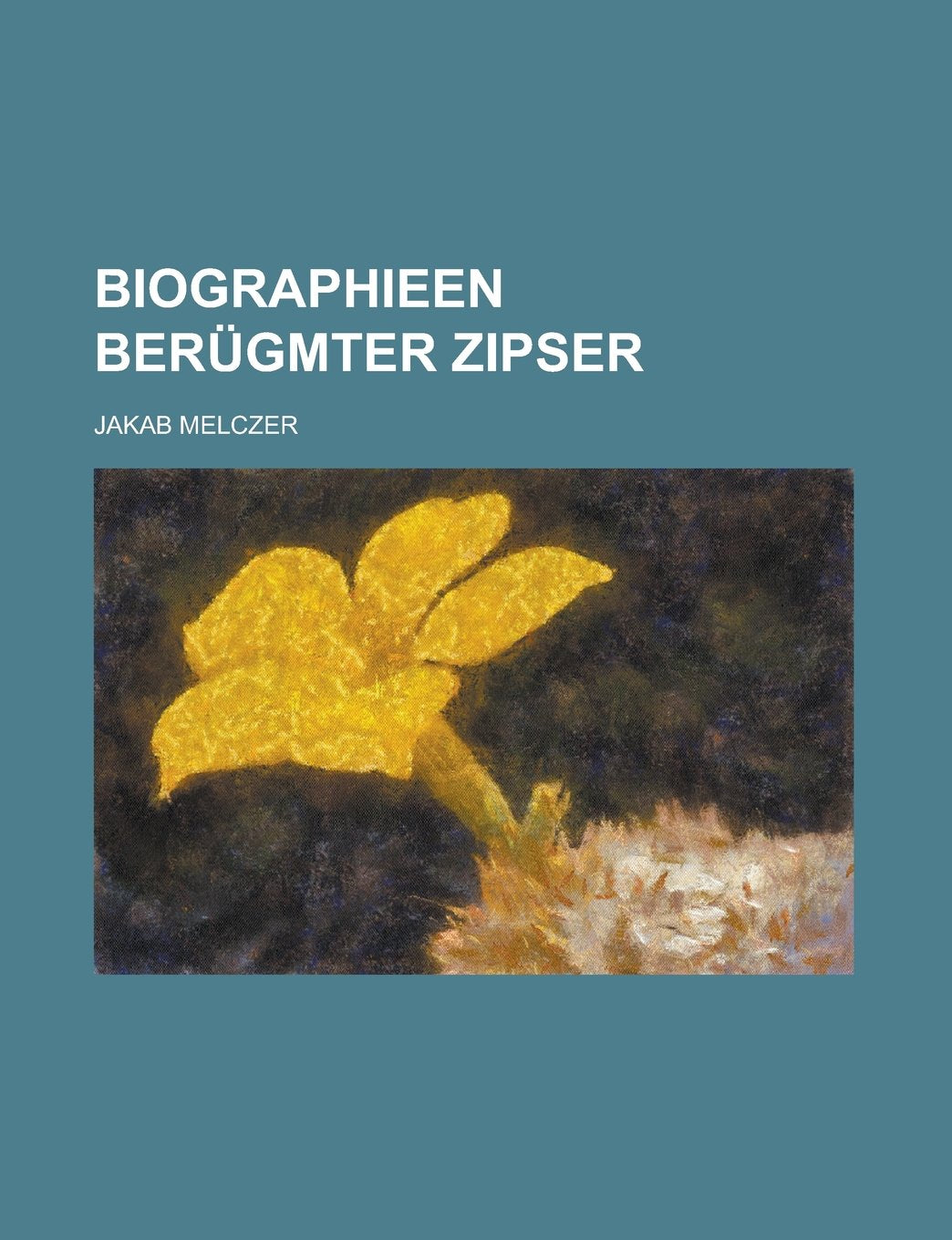 Biographieen berügmter Zipser Books