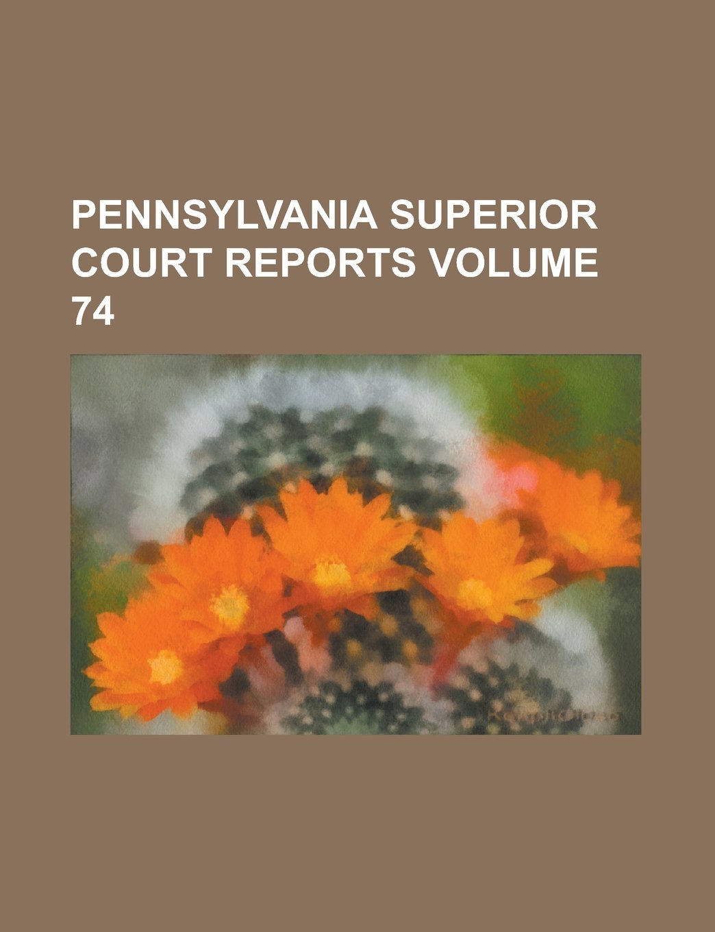 Product Image: Pennsylvania Superior Court reports Volume 74