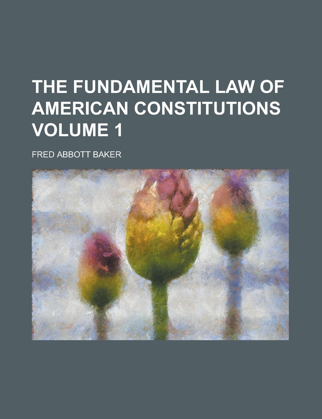 The Fundamental Law of American Constitutions Volume 1 Politics & History