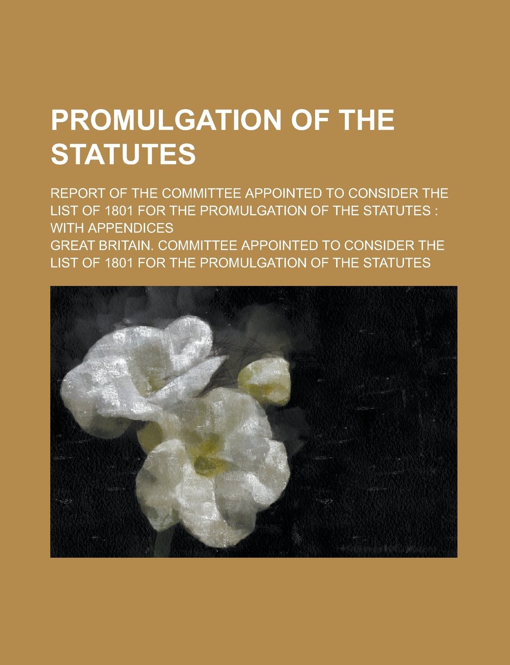 Promulgation of the statutes; report of the Committee Appointed to Consider the List of 1801 for the Promulgation of the Statutes: with appendices Books